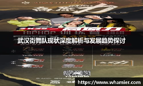 武汉街舞队现状深度解析与发展趋势探讨