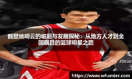 金年会