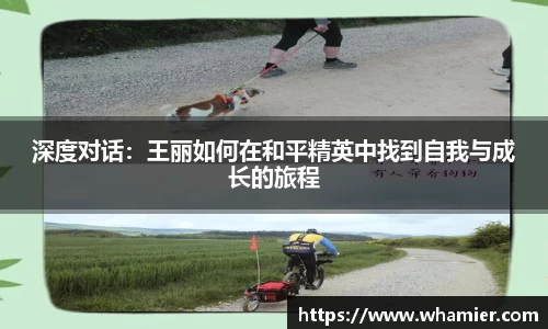 jinnianhui金年会